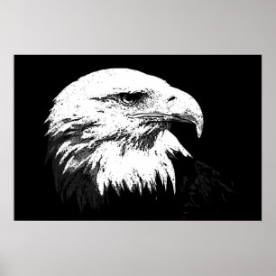 Affiche d'impression de l'aigle américain Bald Eag