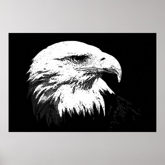 Affiche d'impression de l'aigle américain Bald Eag (Devant)