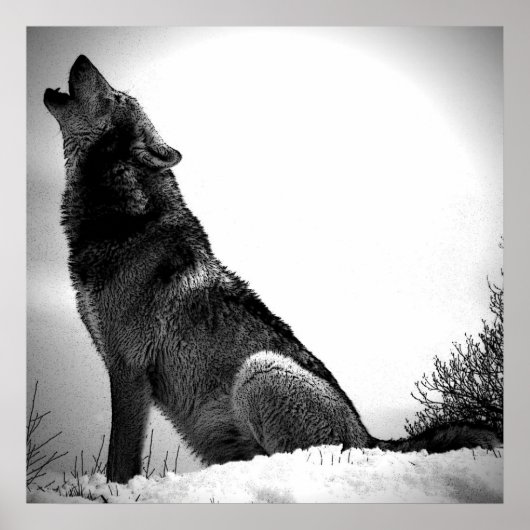 Affiche d'impression de loup hurlant à la lune - A (Devant)