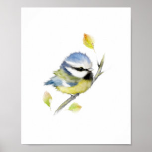 Affiche d'impression de mésange bleue
