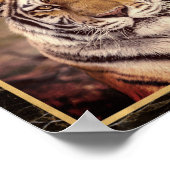 Affiche d'impression de photo d'image de gros chat (Coin)