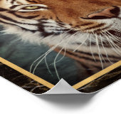 Affiche d'impression de photo du visage de tigre (Coin)