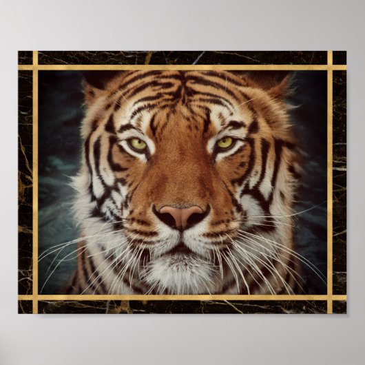 Affiche d'impression de photo du visage de tigre (Devant)