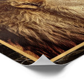 Affiche d'impression d'image photo de lion monochr (Coin)