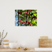Affiche d'impression photo de baies rouges sur l'a (Cuisine)