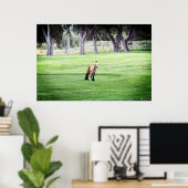 affiche d'impression photographique couleur renard (Bureau à domicile)