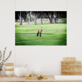 affiche d'impression photographique couleur renard (Cuisine)