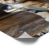 Affiche d'impression Poster Sad and Lonely Pets : (Coin)