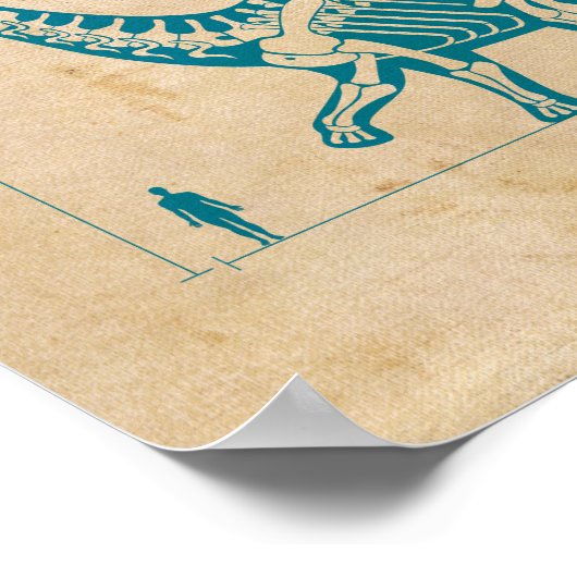 Affiche Dinosaur Fossil 6 (Coin)