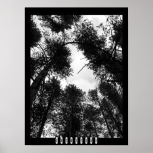 Affiche d'intuition