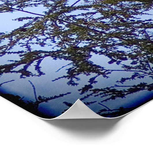 Affiche d'Isaïe 40:31 (Coin)