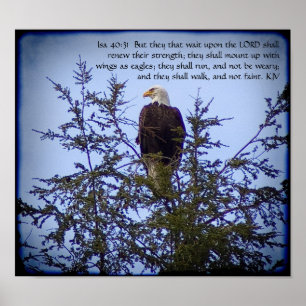 Affiche d'Isaïe 40:31