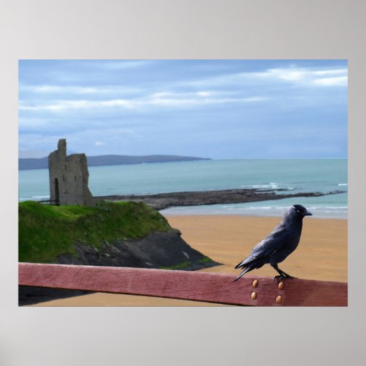 affiche d'observation des oiseaux (Devant)