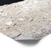 Affiche d'oie du Canada avec des bébés (Coin)