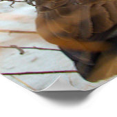 Affiche d'oie du Canada dans la neige (Coin)