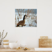 Affiche d'oie du Canada dans la neige (Cuisine)