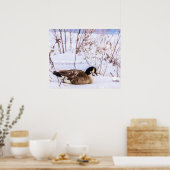 Affiche d'oie du Canada dans la neige (Cuisine)