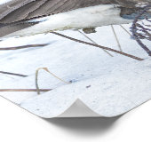 Affiche d'oie du Canada dans la neige (Coin)