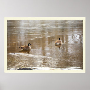 Affiche d'oies dans le ruisseau glacé