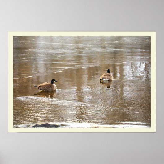 Affiche d'oies dans le ruisseau glacé (Devant)