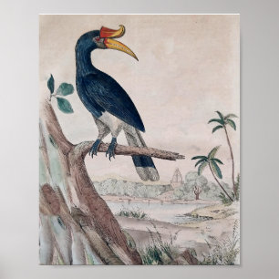 Affiche d'oiseau