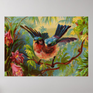 Affiche d'oiseau bleu d'été petite
