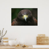 Affiche d'oiseaux 13 (Cuisine)