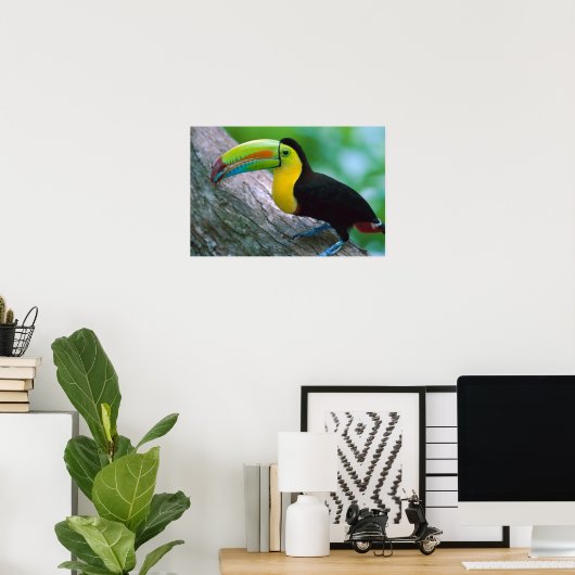 Affiche d'oiseaux 16 (Bureau à domicile)