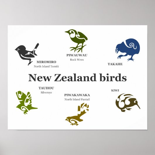 Affiche d'oiseaux de Nouvelle-Zélande (Devant)