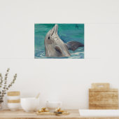 Affiche Dolphin aceo (Cuisine)