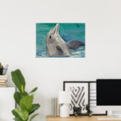 Affiche Dolphin aceo (Bureau à domicile)