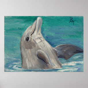 Affiche Dolphin aceo