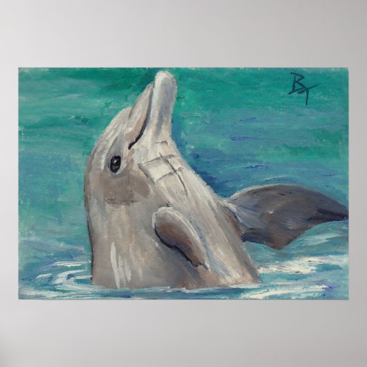 Affiche Dolphin aceo (Devant)