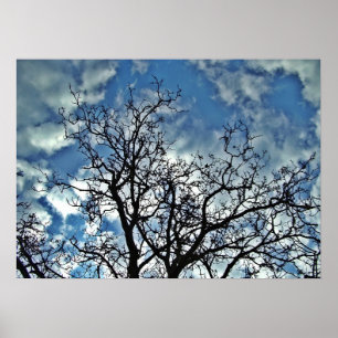 Affiche dramatique de ciel d'arbres