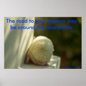 Affiche Dreams (Devant)