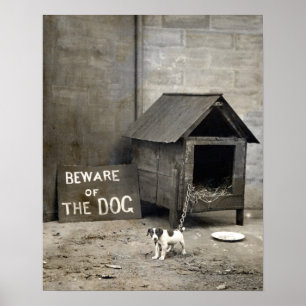 Affiche drôle de chien