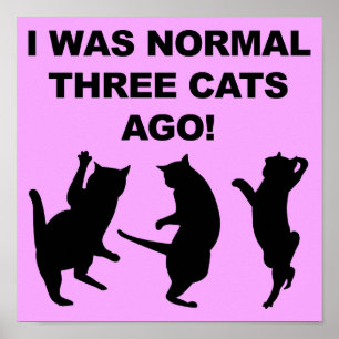 Affiche drôle de panneau Normal il y a trois chats