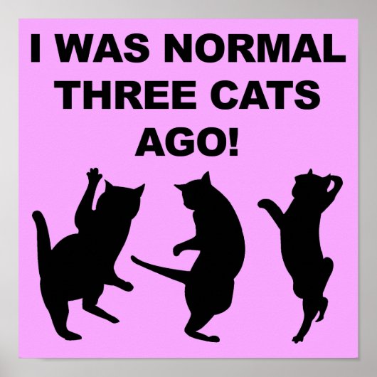 Affiche drôle de panneau Normal il y a trois chats (Devant)