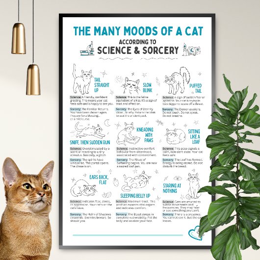 Affiche drôle du langage corporel du chat – Tablea