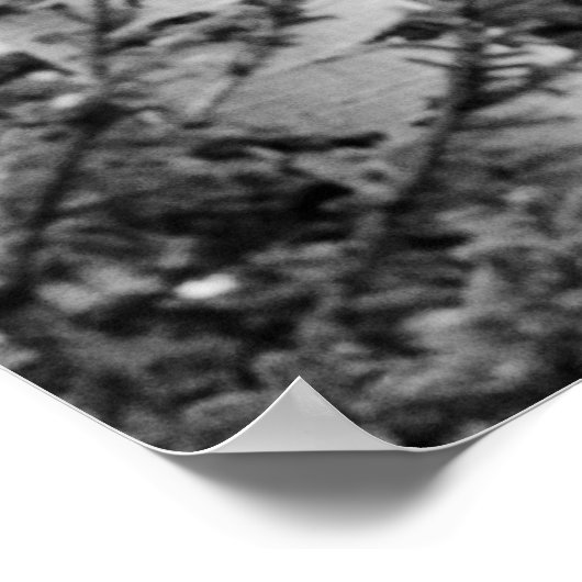 affiche du bosquet (Coin)