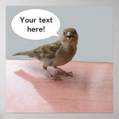 Affiche du Bruant (Devant)