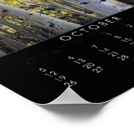 Affiche du calendrier 2008 (Coin)