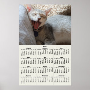 Affiche du calendrier 2011 Jasper Chat