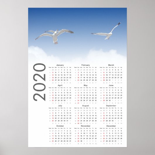 Affiche du calendrier 2020 des mouettes (Devant)
