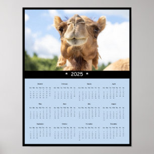 Affiche du calendrier des murs de chameaux 2025