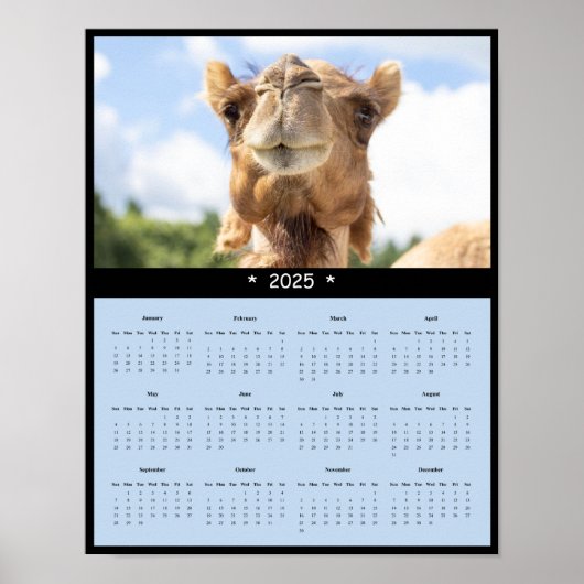 Affiche du calendrier des murs de chameaux 2025 (Devant)