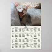 Affiche du calendrier Jasper Yawning Kitten 2011 (Devant)