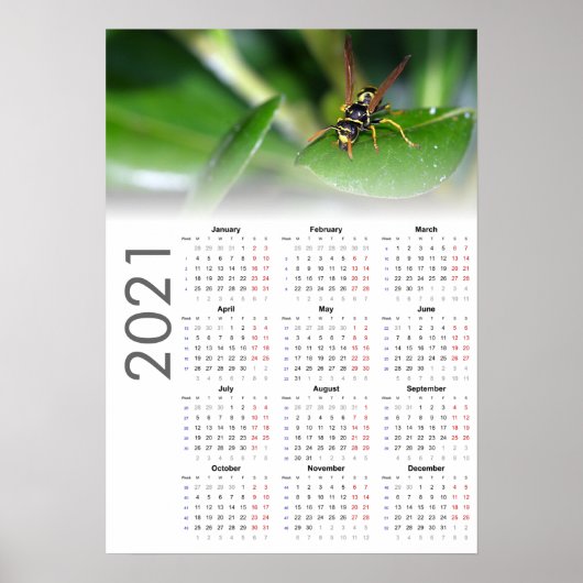 Affiche du calendrier Wasp 2021 - Lundi début (Devant)