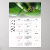 Affiche du calendrier Wasp 2022 - Début dimanche (Devant)