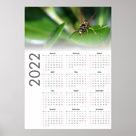 Affiche du calendrier Wasp 2022 - Début dimanche (Devant)
